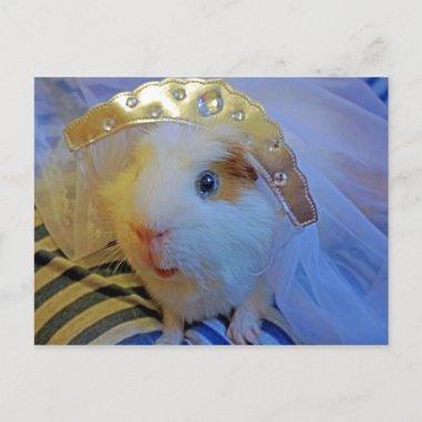 guinea pig bride postInvitations