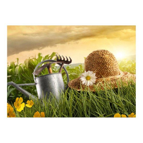 Home and Business Art Decor