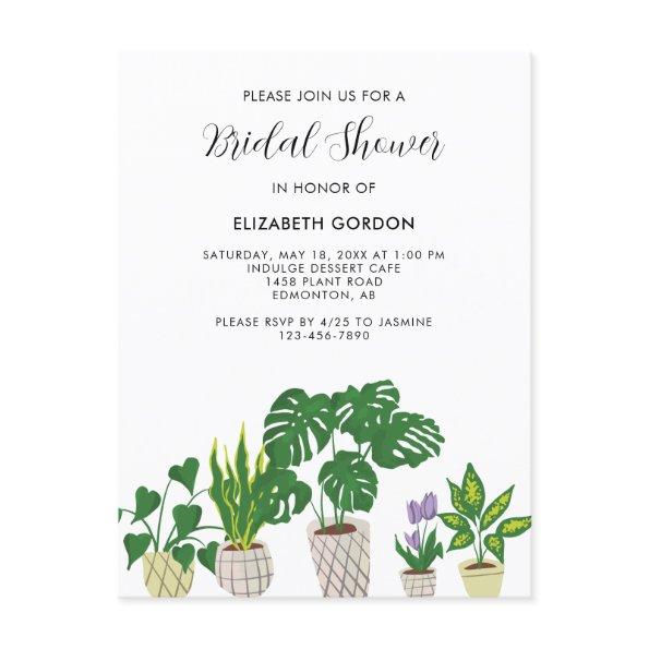 Indoor Potted Plants  Greenery Post