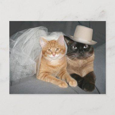 Kitty Bride and Groom PostInvitations