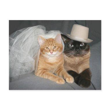 Kitty Bride and Groom PostInvitations