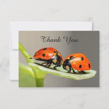 Ladybugs Beetles Flat Thank You Invitations