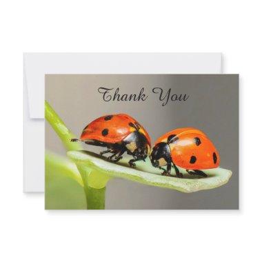 Ladybugs Beetles Flat Thank You Invitations