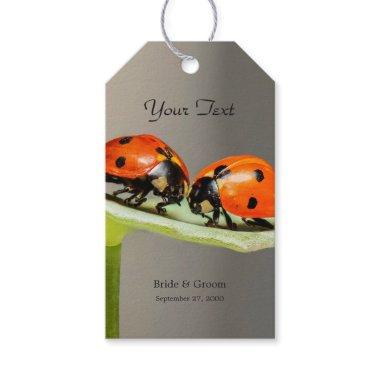 Ladybugs Beetles Gift Tag