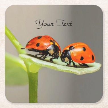 Ladybugs Beetles Paper Coaster