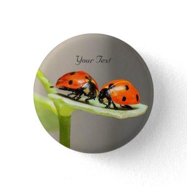 Ladybugs Beetles Pinback Button