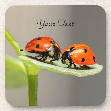 Ladybugs Beetles Plastic Coaster