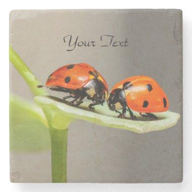 Ladybugs Beetles Stone Coaster