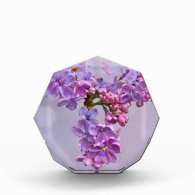 Lilacs in Springtime Award