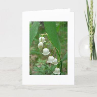 Lily of the valley Blank Greeting Invitations