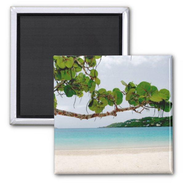 Magens Bay, St. Thomas 2 Inch Square Magnet
