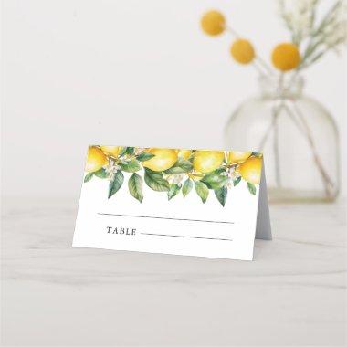 Modern Summer Lemon Citrus  Place