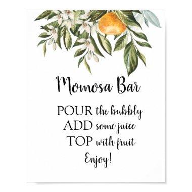 Momosa Bar Baby Shower Drink Sign