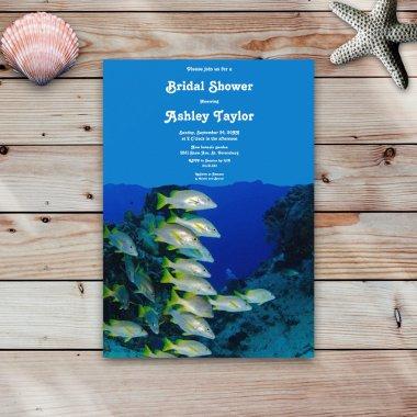 Navy Underwater Sea Fish Coastal