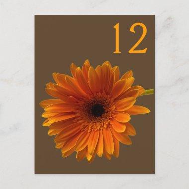 Orange Gerbera Daisy Table Number Card