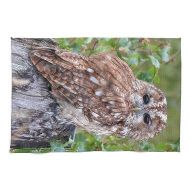owl photograph kitchen towel