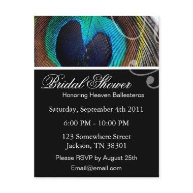 Peacock Feather