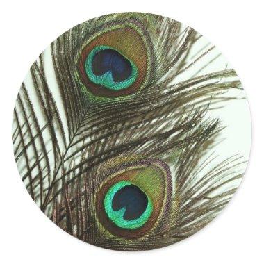 Peacock Feather Envelope Stickers