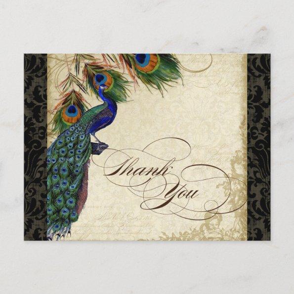 Peacock & Feather Formal Thank You Note Black Tan PostInvitations