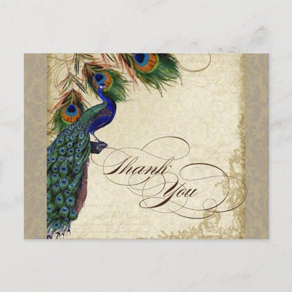 Peacock & Feathers Formal Thank You Note Aqua Blue PostInvitations