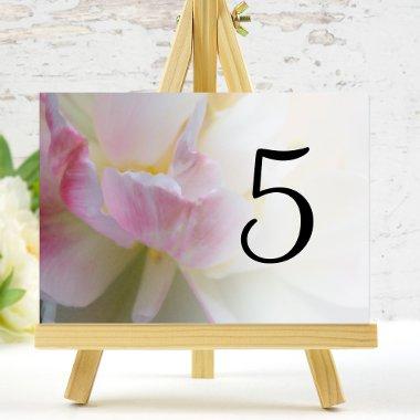 Pink and White Tulip Flower Table Numbers