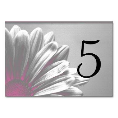 Pink Floral Highlights Table Numbers