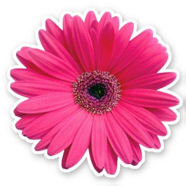 Pink Gerbera Daisy Flower Kiss-cut Sticker