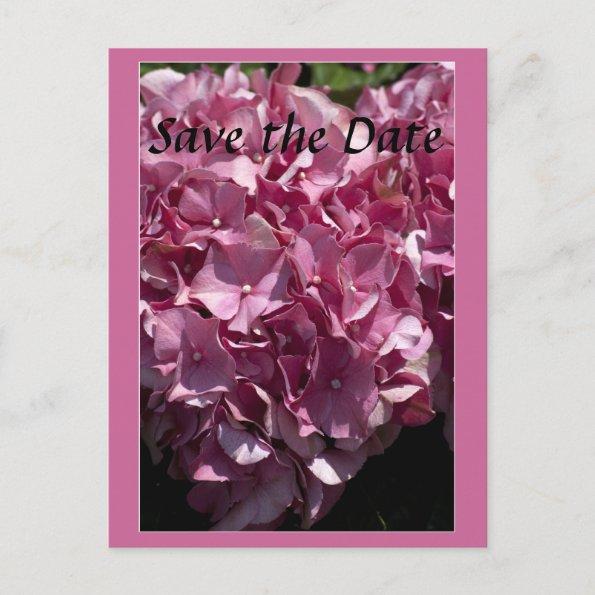 Pink Hydrangea Wedding save the date postInvitations