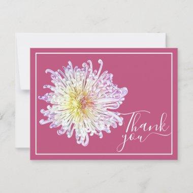 Pink Spider Mum With Pink Background Thank You PostInvitations