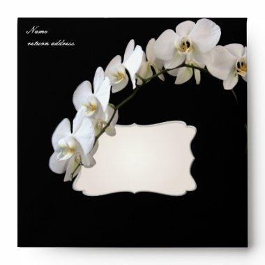 PixDezines orchids/phalaenopsis Envelope