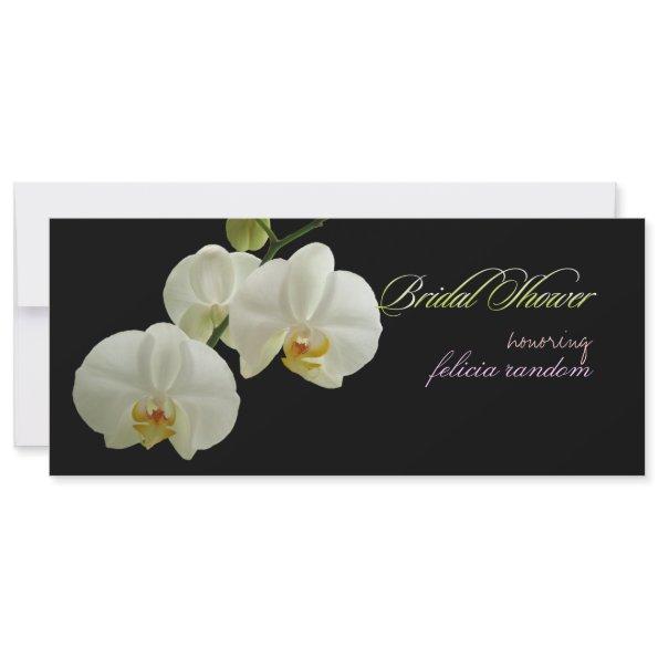 PixDezines orchids/phalaenopsis