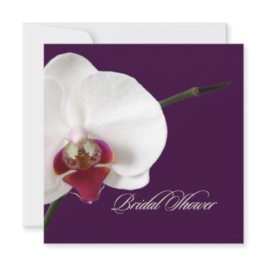 PixDezines orchids/phalaenopsis Invitations