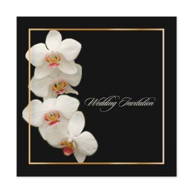 PixDezines orchids/phalaenopsis