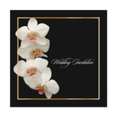 PixDezines orchids/phalaenopsis Invitations