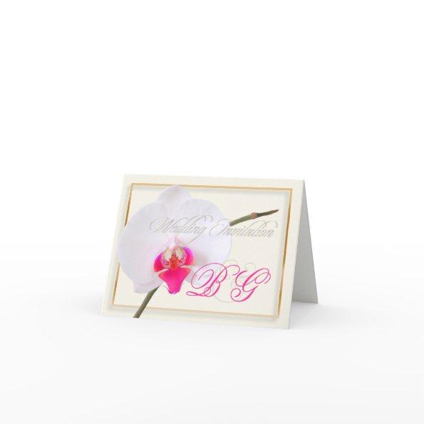 PixDezines orchids/phalaenopsis