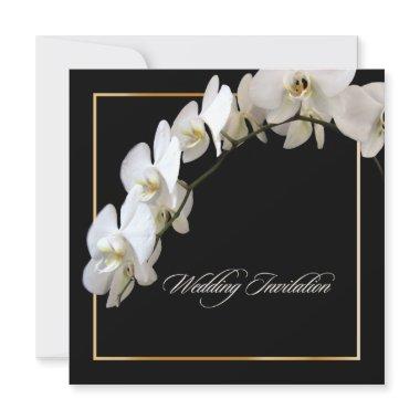 PixDezines orchids/phalaenopsis Invitations