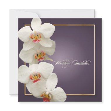 PixDezines orchids/phalaenopsis Invitations