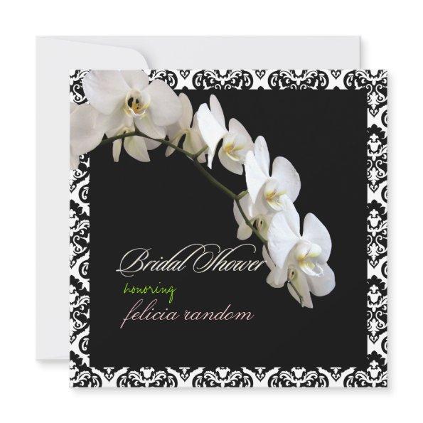 PixDezines orchids/phalaenopsis