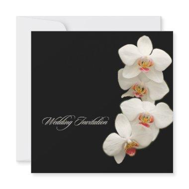 PixDezines orchids/phalaenopsis Invitations