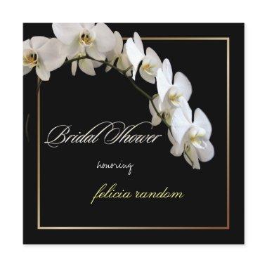 PixDezines orchids/phalaenopsis