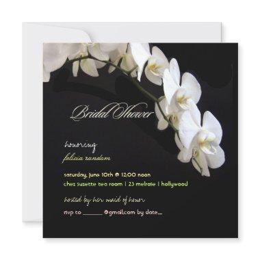PixDezines orchids/phalaenopsis