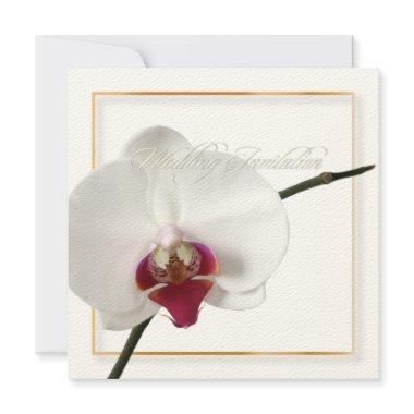 PixDezines orchids/phalaenopsis Invitations