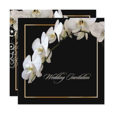 PixDezines WHITE ORCHID/PHALAENOPSIS/DIY color