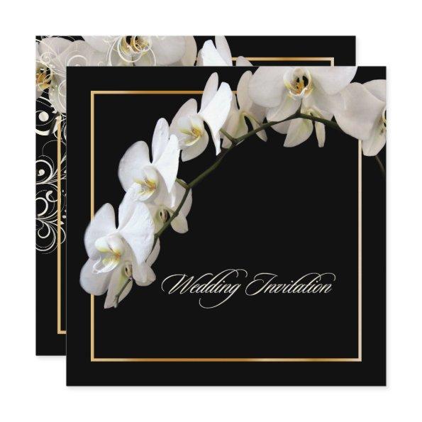 PixDezines WHITE ORCHID/PHALAENOPSIS/DIY color