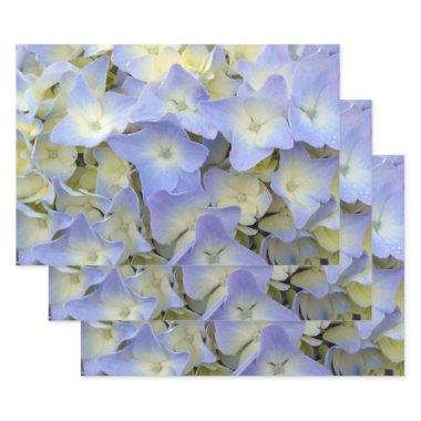 Pretty and Colorful Light Blue Hydrangea Flowers Wrapping Paper Sheets