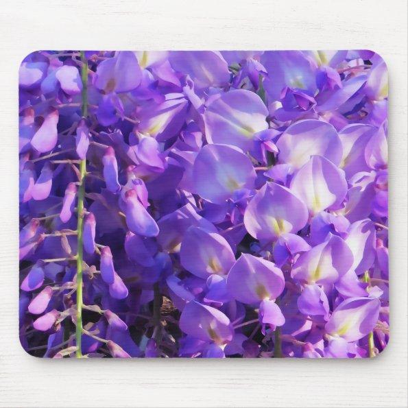 Pretty hanging Wisteria photo Mouse Pad