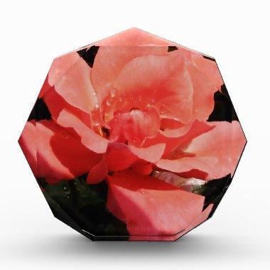 Pretty Peach Pink Rose floral Acrylic Award