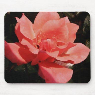 Pretty Peach Pink Rose floral Mouse Pad