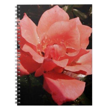 Pretty Peach Pink Rose floral Notebook