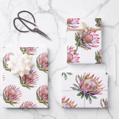 Protea sugarbush flower South African plant Wrapping Paper Sheets